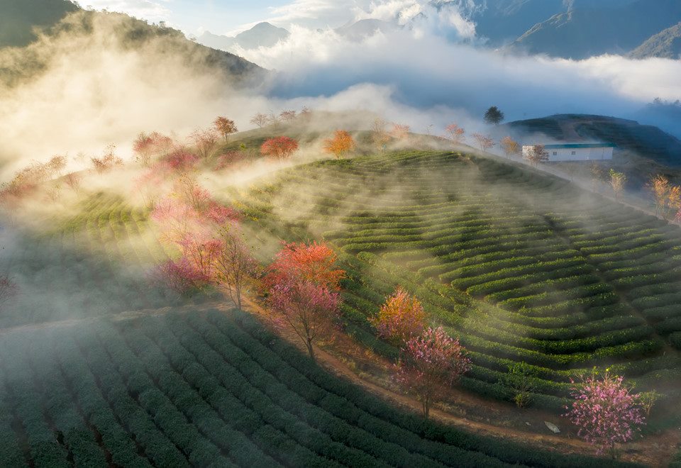 DOICHEOLONG-SAPA 4.jpg